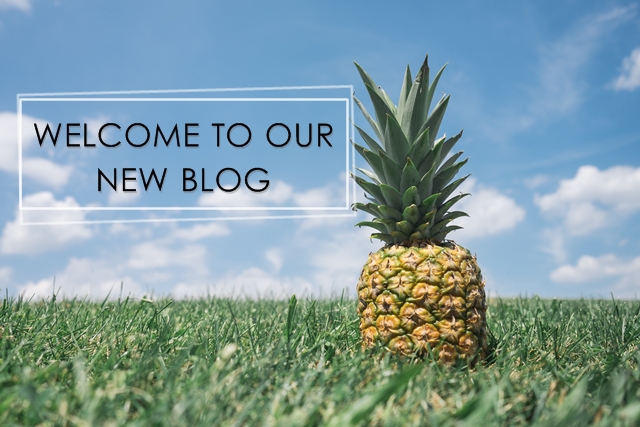 Welcome to our new blog